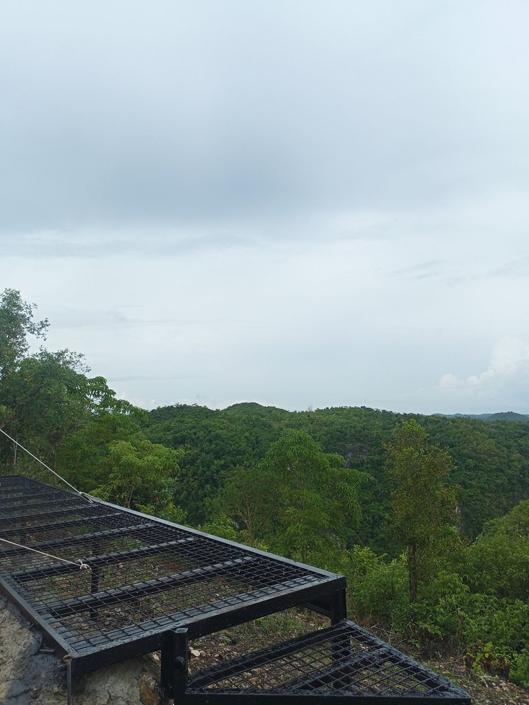 IMG20220718084423_01.jpg