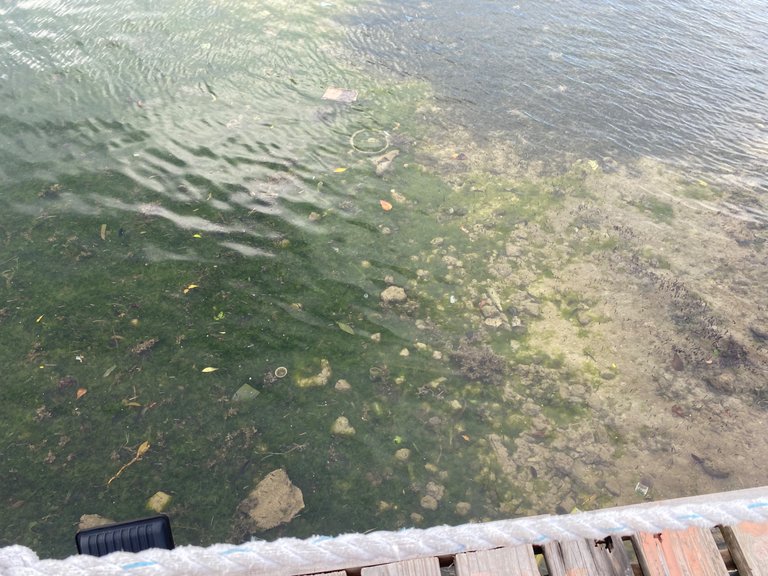IMG_3098.jpeg