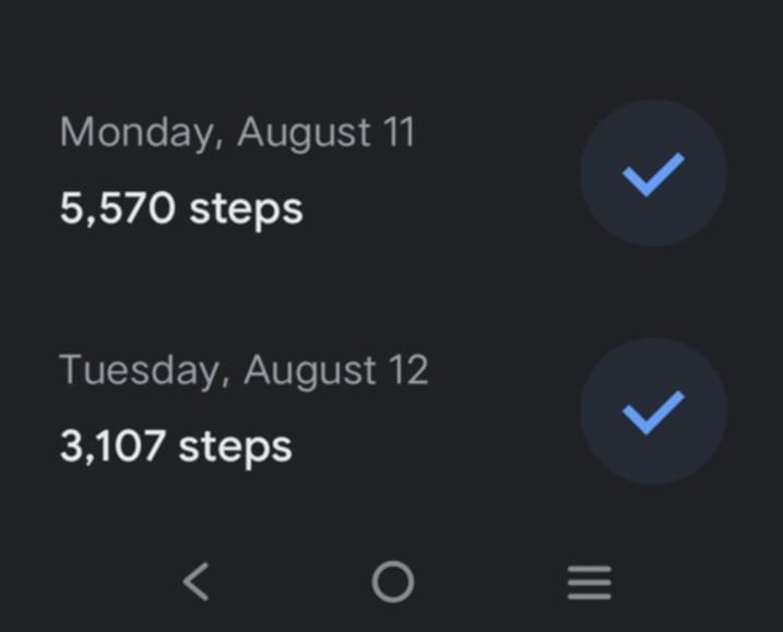 dailysteps.jpg