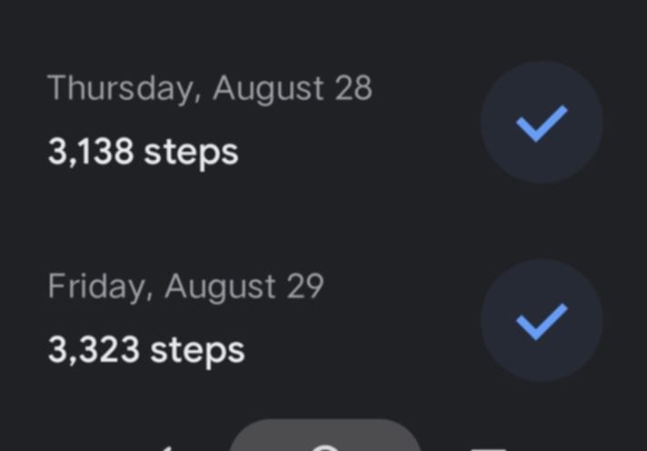 dailysteps.jpg