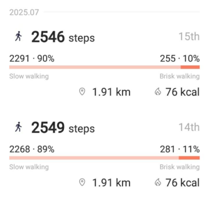 dailysteps.jpg