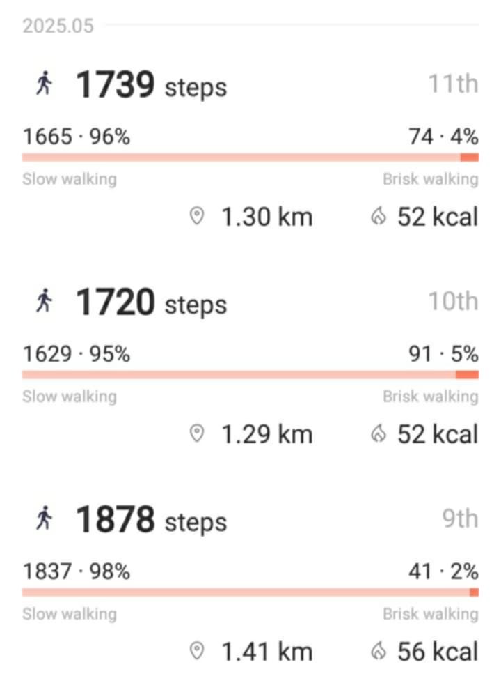 stepswalk.jpg