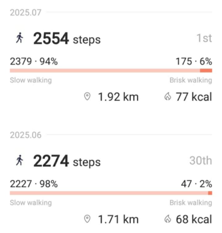 dailysteps.jpg