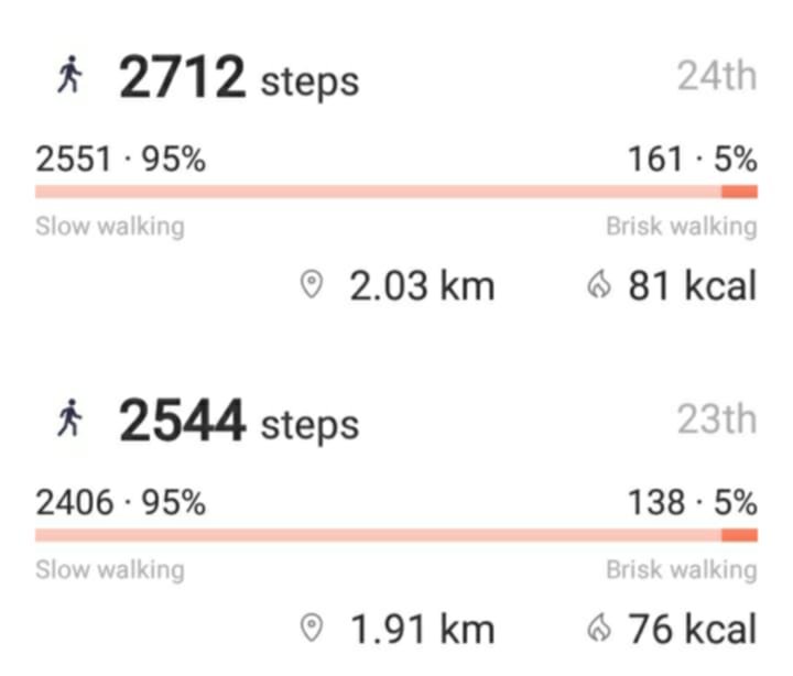 dailysteps.jpg