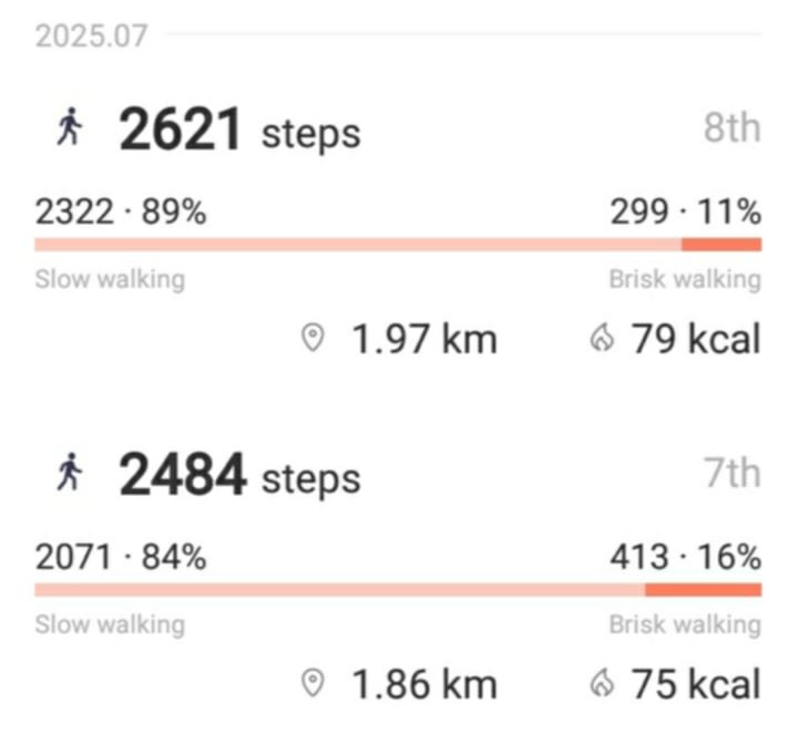 dailysteps.jpg
