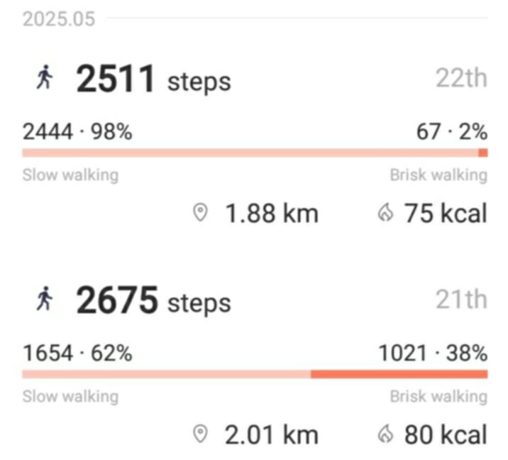 dailysteps.jpg