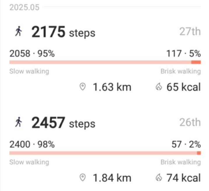 dailysteps.jpg