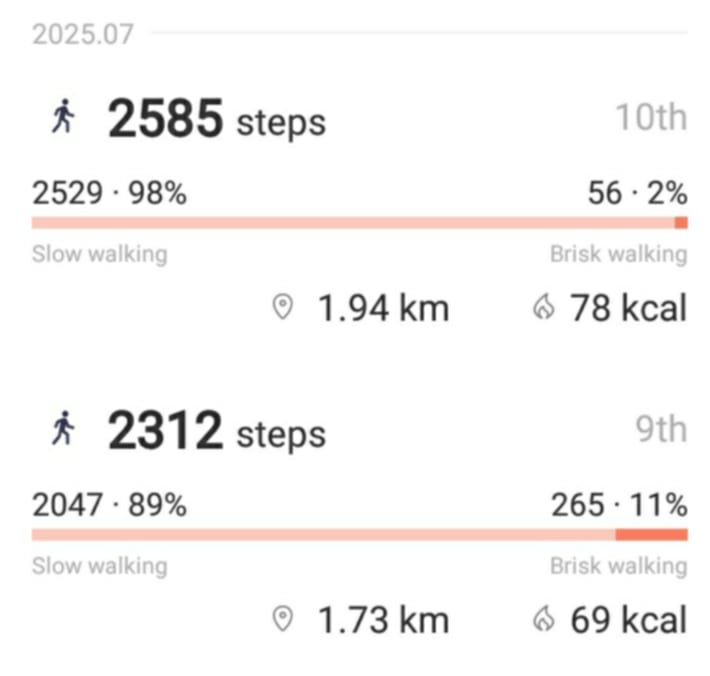dailysteps.jpg