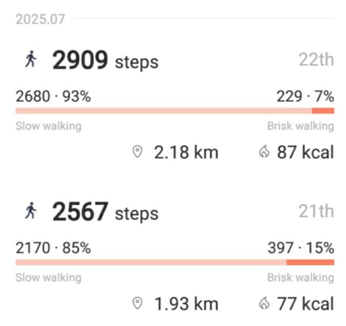 dailysteps.jpg