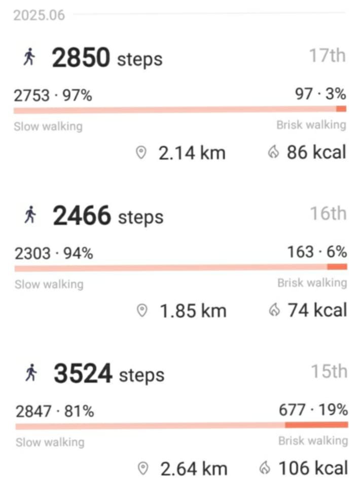 dailysteps.jpg