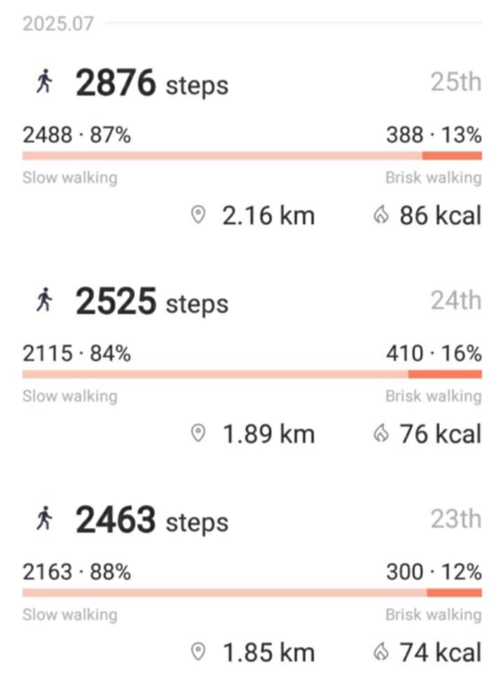 dailysteps.jpg