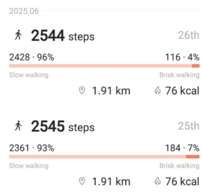 dailysteps2.jpg