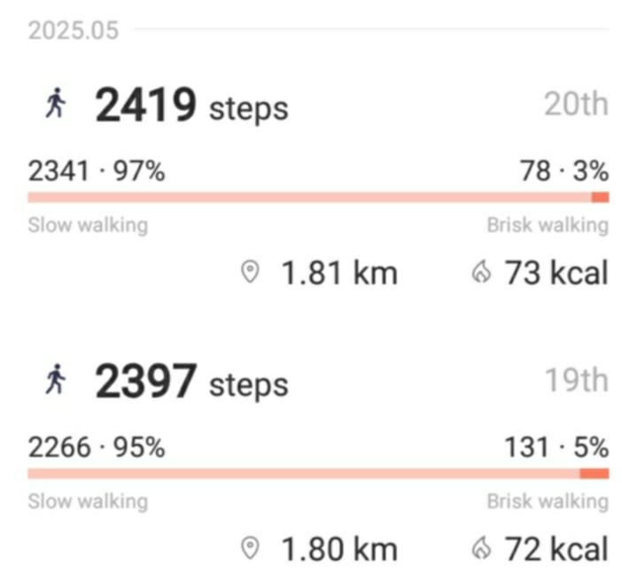 dailysteps.jpg