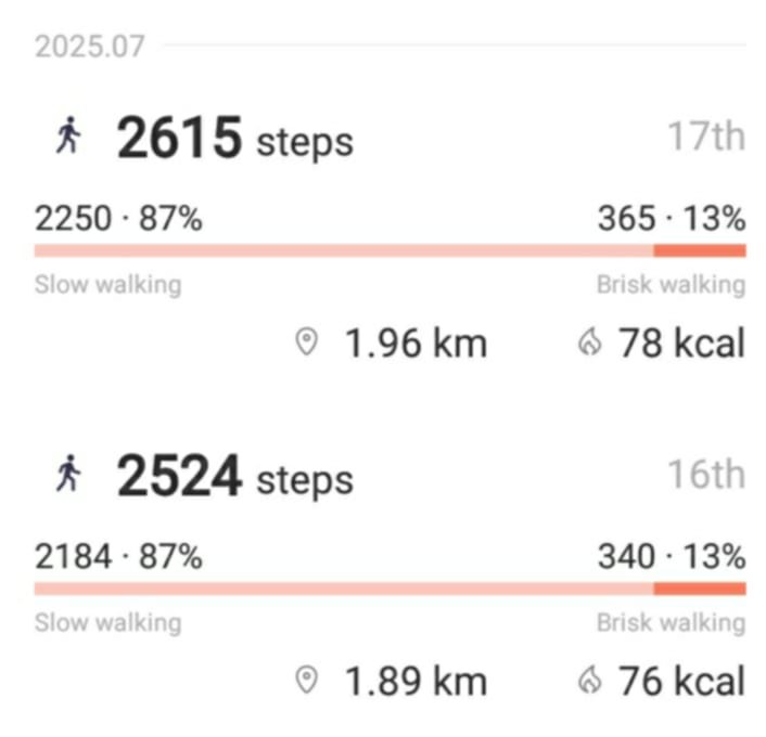 dailysteps.jpg