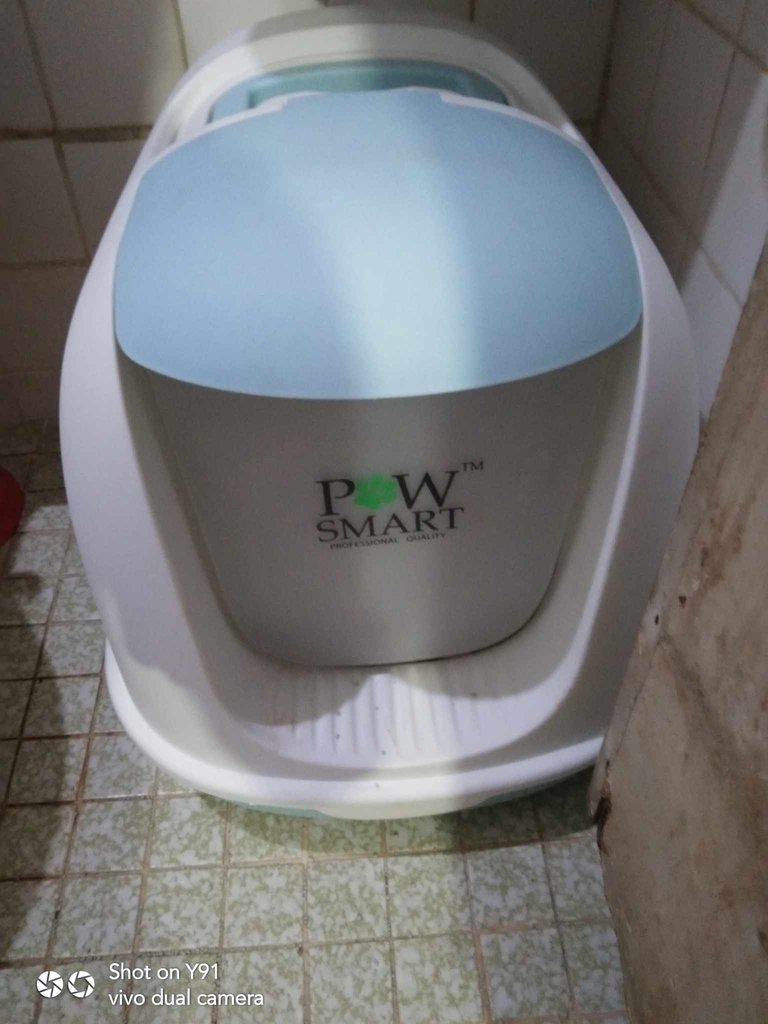 litterboxnew.jpg