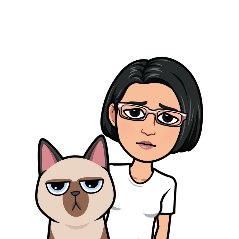 sad cat.png