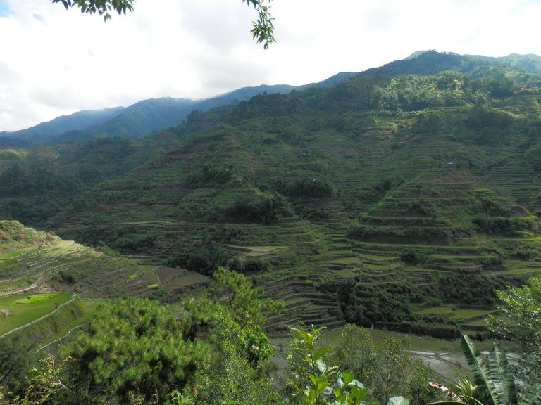 Sagada2016.jpg