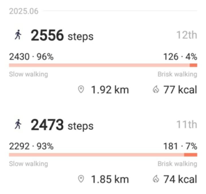 dailysteps.jpg