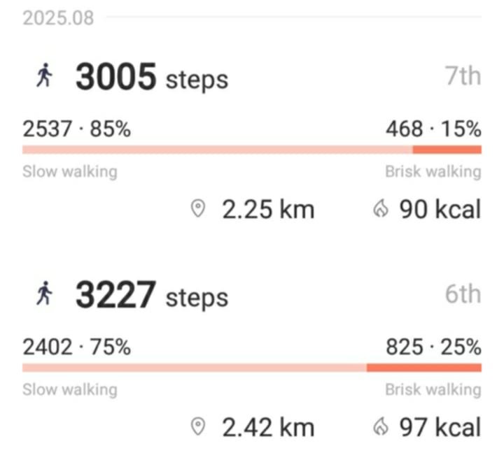 dailysteps.jpg