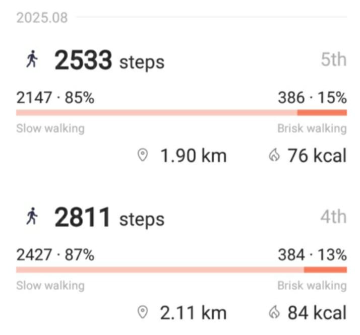 dailysteps.jpg