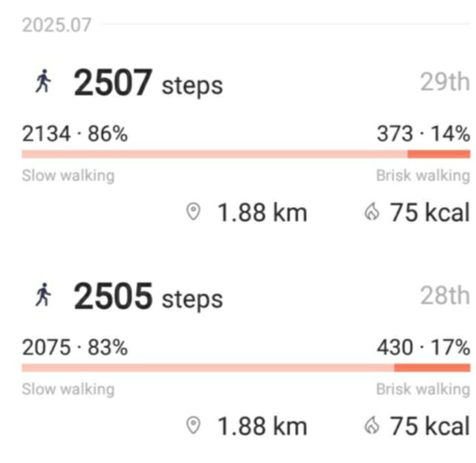 dailysteps.jpg