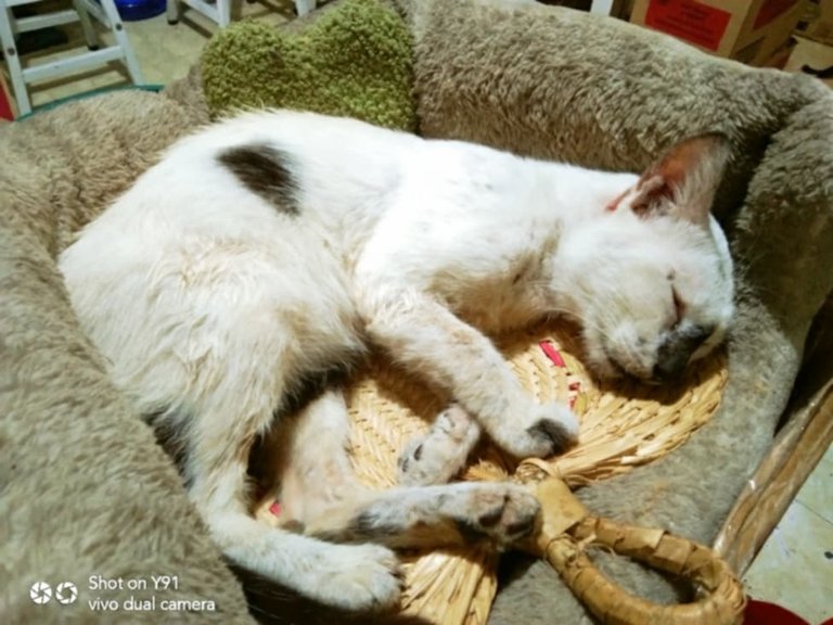 zzzz.jpg
