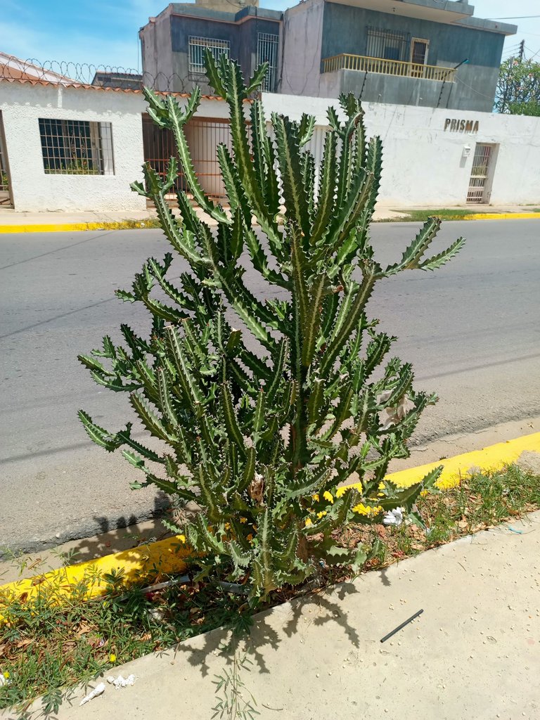 1000048551.jpg
