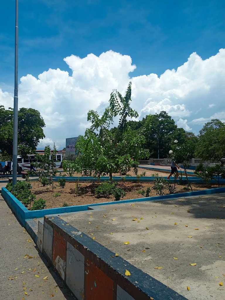 1000060608.jpg