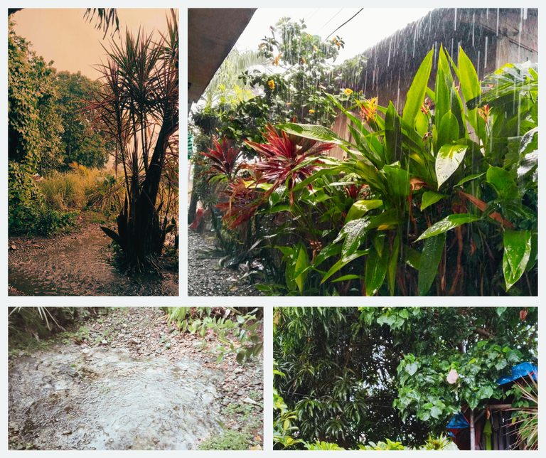 Rain.png