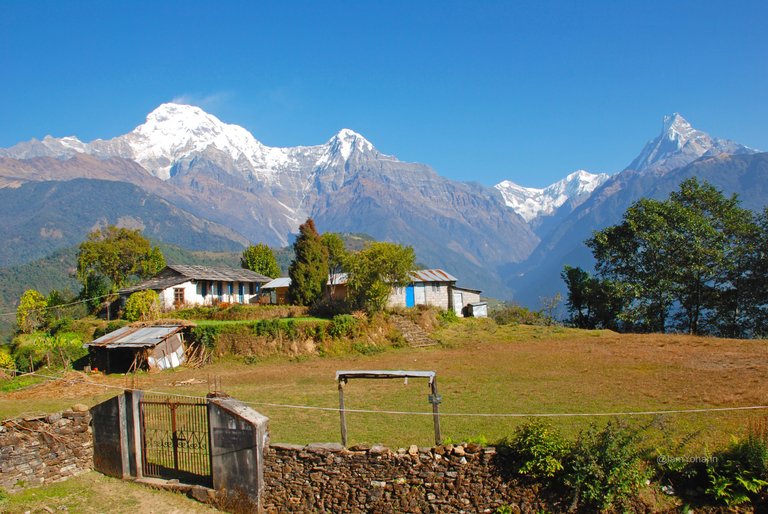 Annapurna South (7219m.), Hiunchuli (6441m.) and Machupuchare (6993m.) in the background
