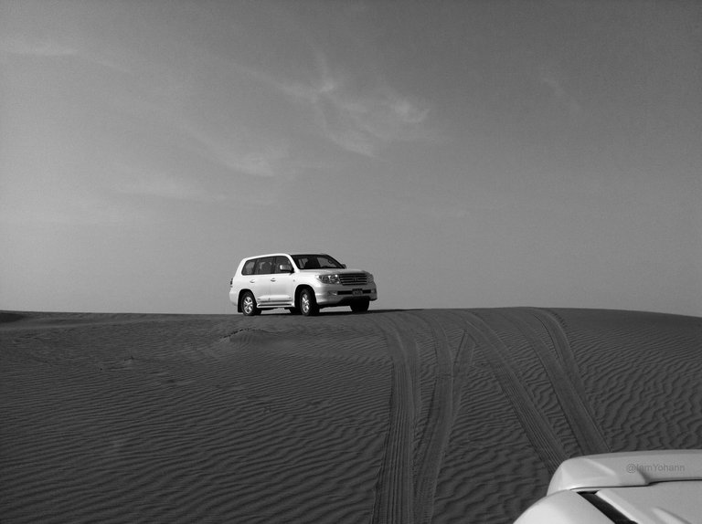 Desert Running with Cars.jpg