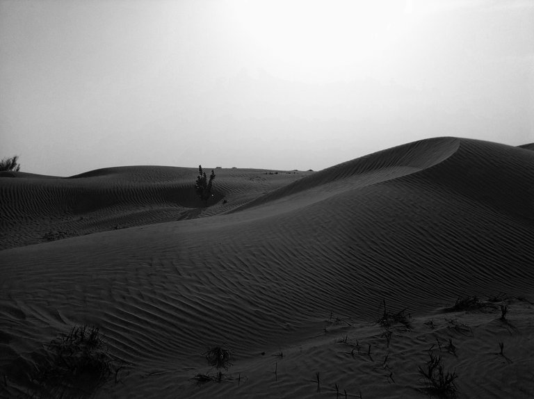 Desert Sand Dunes