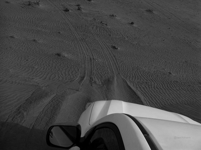 Desert Running with Cars 2.jpg