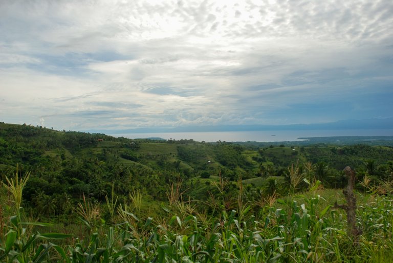View of Moalboal and Pescador Island with Negros Island in the Background