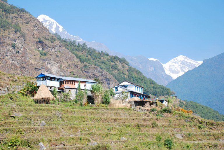 Terraces, lodges and Annapurna range