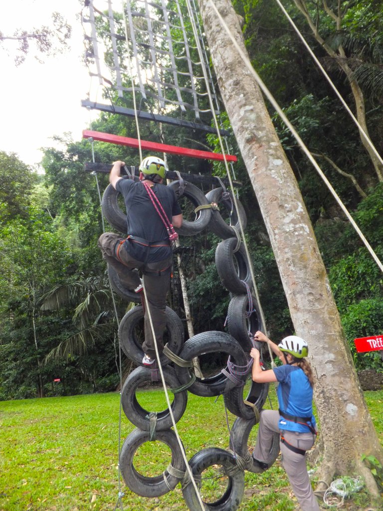 Start of the Tree Climbing Course