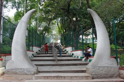 Big Bull Horn.jpg