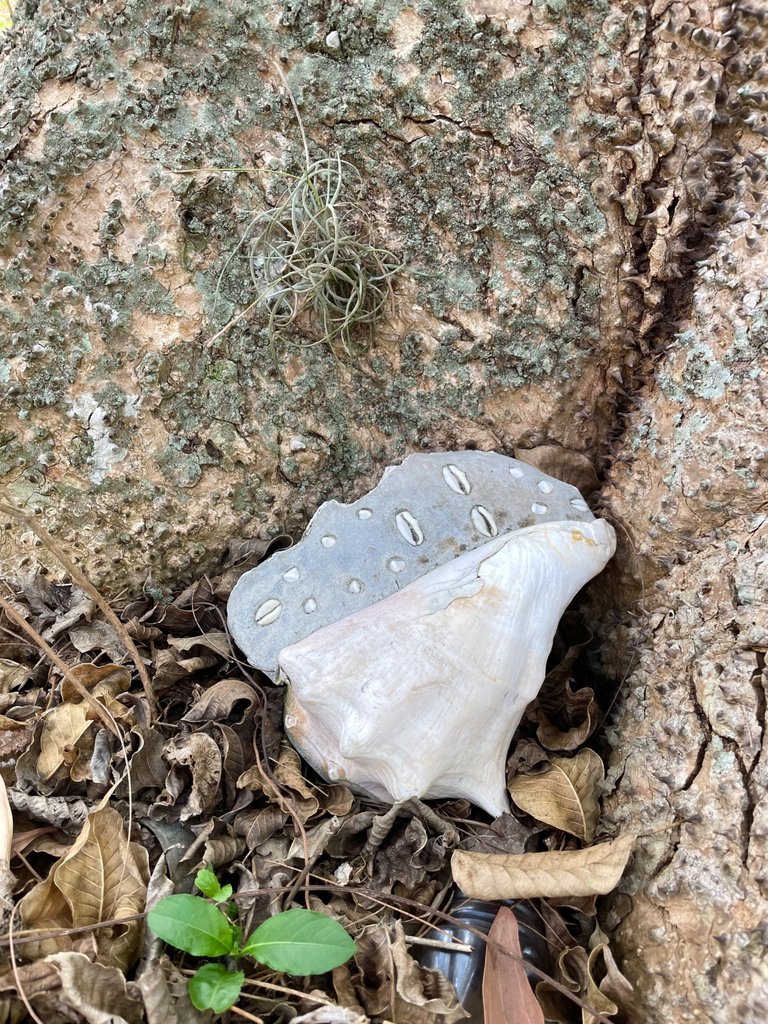 $1