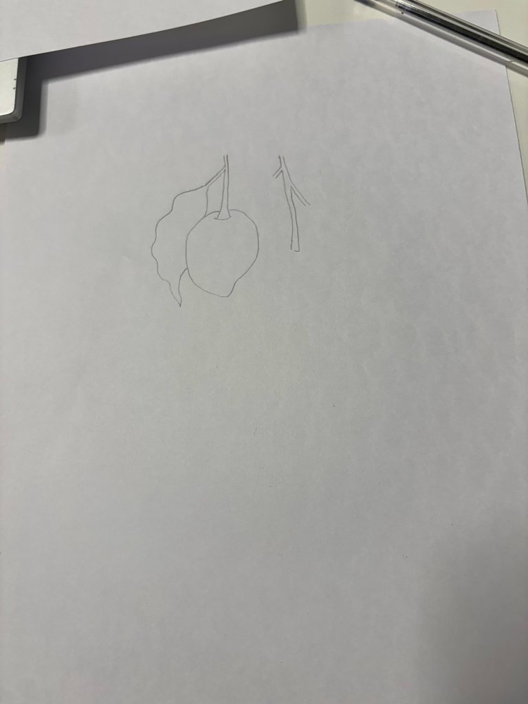 image.jpeg