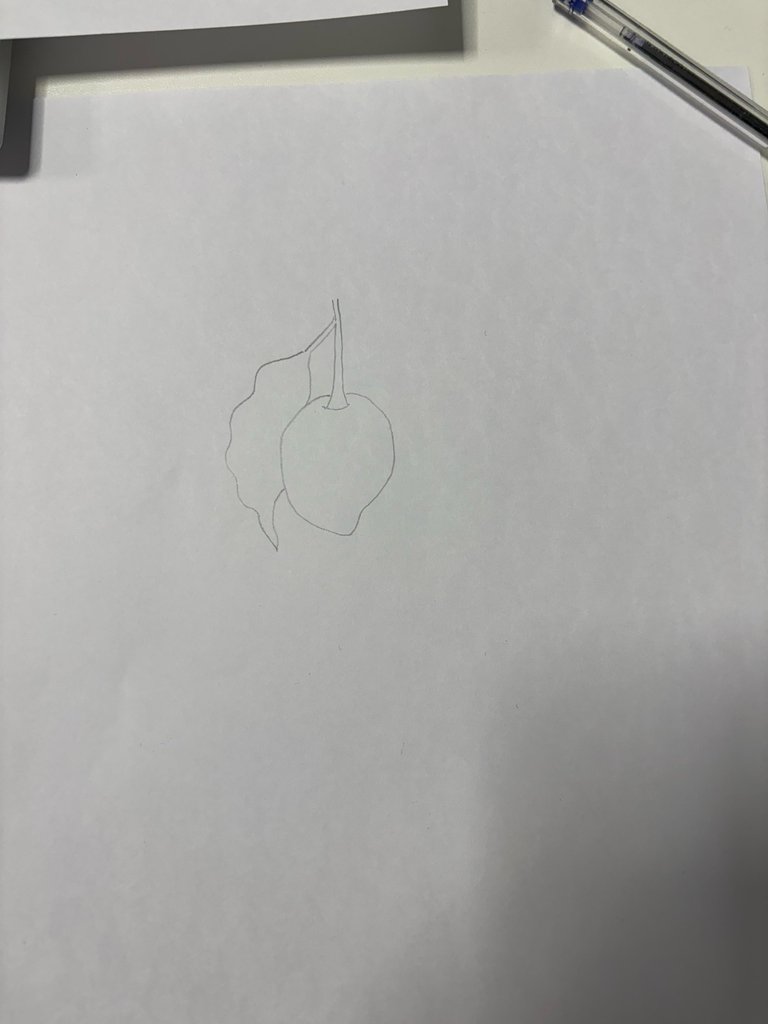 image.jpeg