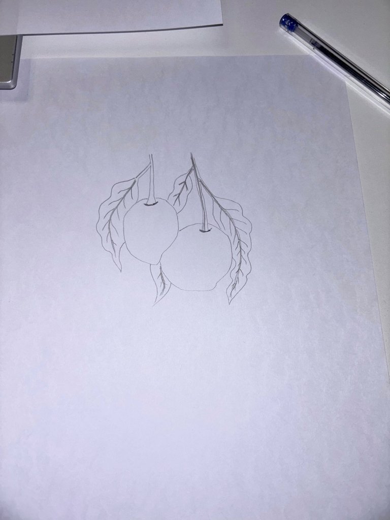 image.jpeg
