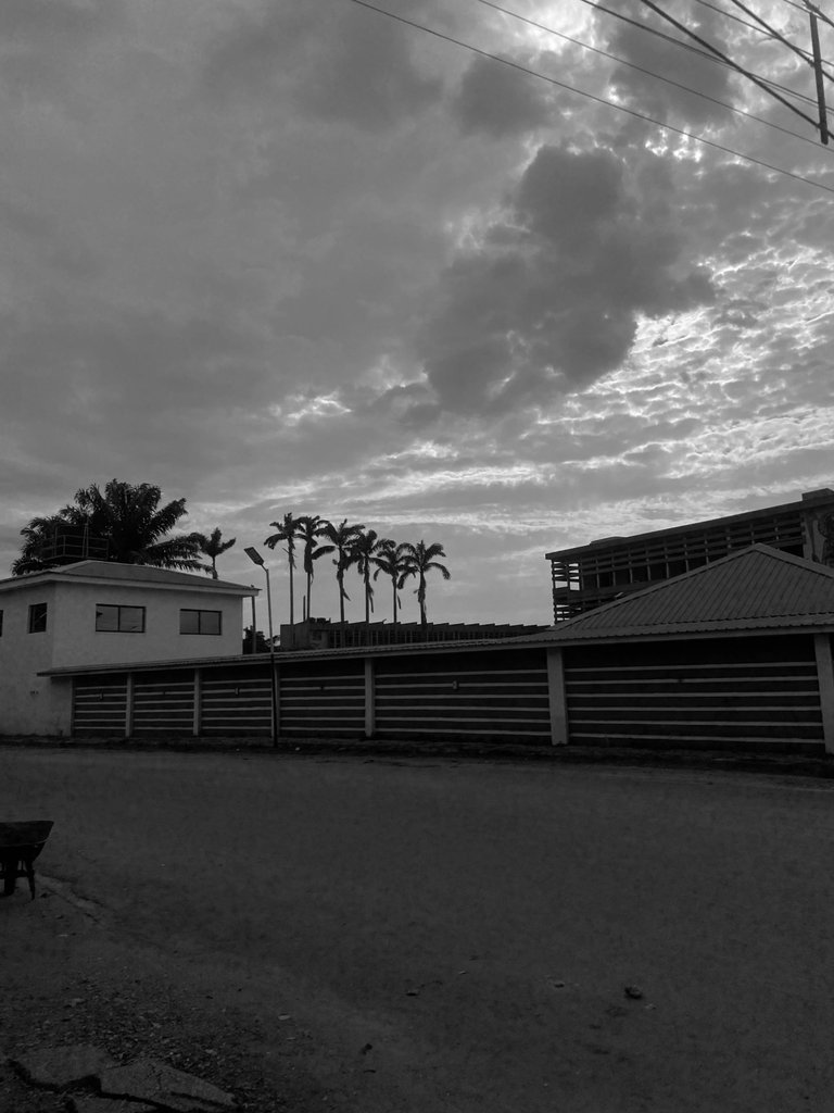 Capturing Life in Black and White /Photofeed Contest