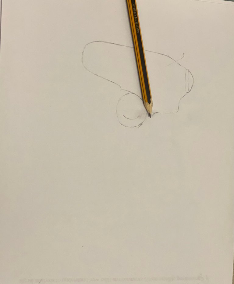 image.jpeg