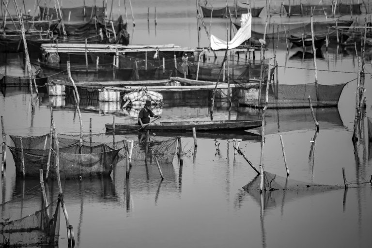 14 IMG_6916 copy.jpg
