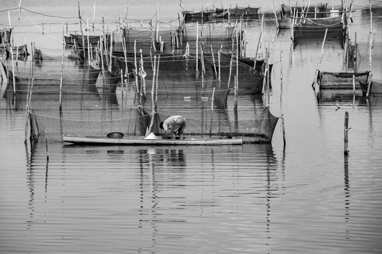 10 IMG_6971 copy.jpg