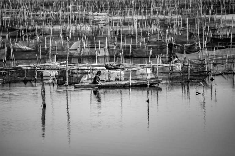 15 IMG_6956 copy.jpg