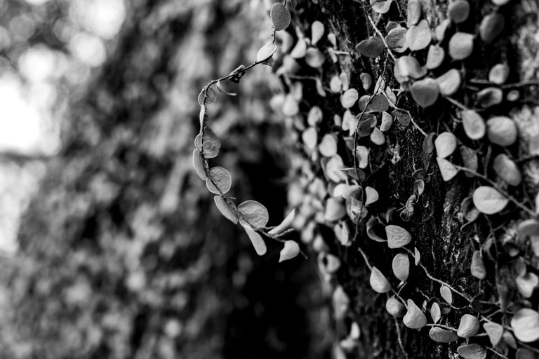 7 IMG_8122 copy.jpg