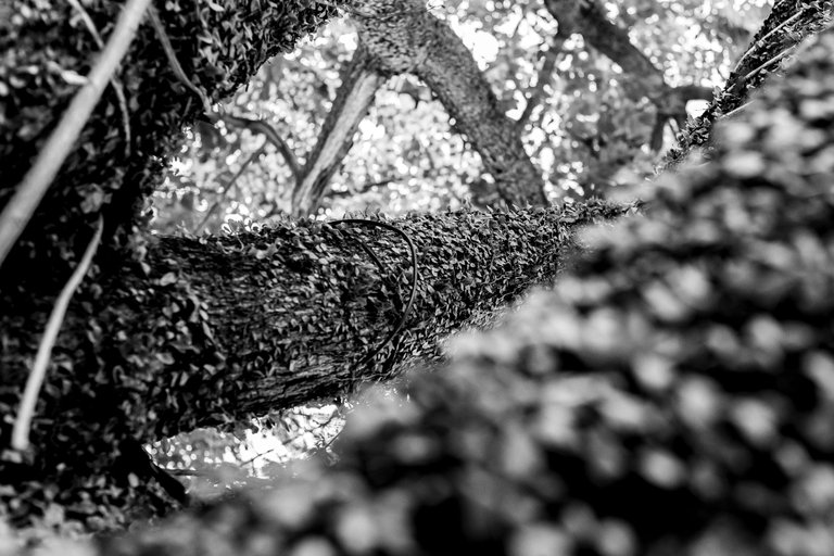 12 IMG_8133 copy.jpg