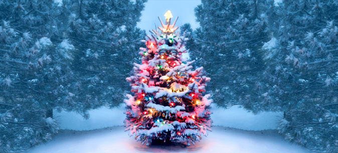 christmas-trees-gettyimages-1072744106.jpg