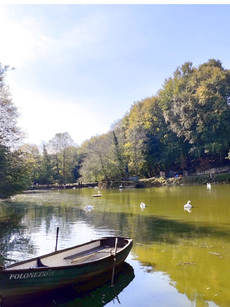 Among the Colors of Autumn: A Day at Polonezköy Nature Park